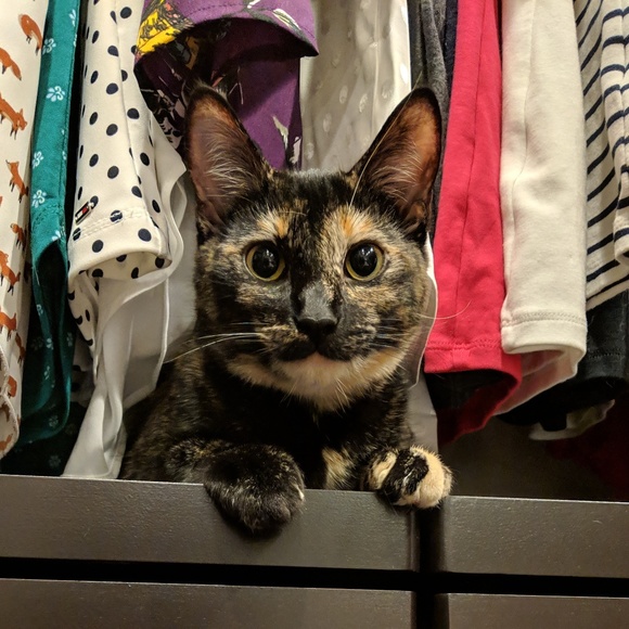 Meet your Posher, Heather - Picture 2 of 3